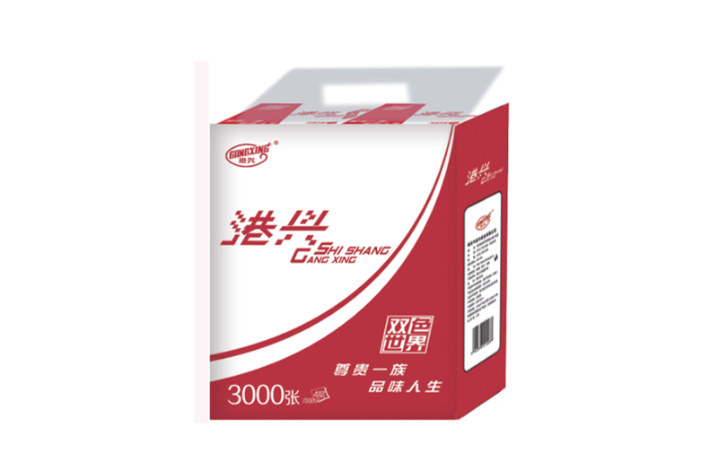 GRZ150-1 港興10包面巾紙
